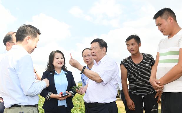 http://www.cbt.com.cn/rw/gslx/201909/W020190904850878011199.jpg